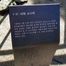북악산-1박2일 이수근의 서울성곽길과 은지원의 `개도맹` 백사실계곡 (재작성) 이미지