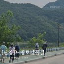 느림보강물길 | 충북단양 당일치기여행코스 도담삼봉~수양개빛터널 느림보강물길 트래킹, 단양구경시장, 만천하스카이워크