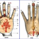 손 지압 이미지