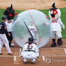 두리위즈 이미지