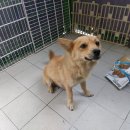 포항시북구4 이미지