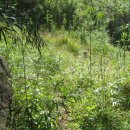 전포1동-9 이미지