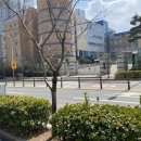 반석경희한의원 이미지