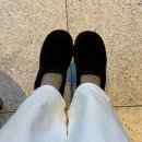 셀마 | 베어파우 SELMA / 셀마 슬립온 로퍼 후기