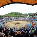 톰지모텔 이미지