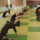 요가(오후) 이미지