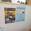 딜라잇펫 이미지