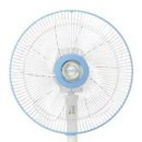 주식회사콜러노비타 이미지