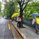 영축산순환산책로(광운대역) 티스토리