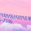 스카이자이공인중개사사무소 이미지