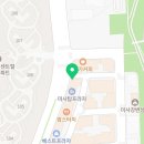 퍼피 비비드 강아지분양 하남미사본점 이미지