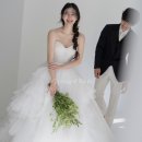 이브로제 시안 정리