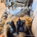 아지발바닥 | 고양이 강아지 발바닥 바리깡 추천 로제코 LED Q8 클리퍼