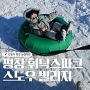 평창 휘닉스파크 스노우빌리지 가격 할인 매점 눈썰매 두돌아기방문