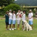 들꽃마을 이미지