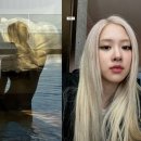 호텔로제 이미지