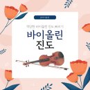 송바이올린 이미지