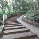 보라매약수터 이미지