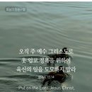 언약의 소금을 네 소제물에 부족하지 이미지