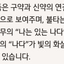 에고에이미
