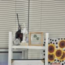 서울 미인점 후기 재물점 맛집 모다스튜디오 솔직후기