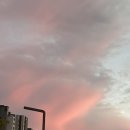 개아나유 이미지