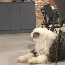 평천로74번길 이미지