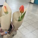 호랭이꽃집 - 성동구 아차산로 18 | 호랭이꽃집