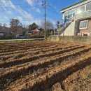 강화조아공인중개사사무소 이미지