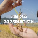 성주 특산물 먹거리 푸드테크 | 경북 10월 가볼만한곳 성주 메뚜기축제 꿀팁 준비물