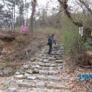 비홍산 티스토리