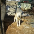 화성농장 이미지