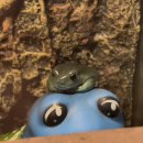 승연농장 | [인천 남동] 아이들과 함께 즐기는 인천 서창 이색 실내 동물원 쥬벅스 후기