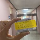 포천 3100번 선진시내버스 분실물 찾은 후기