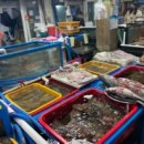 통영농업협동조합(도천) 이미지