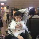 한주항공여행사 이미지