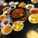 나폴리여행사