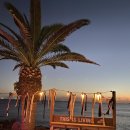 동산애견 이미지