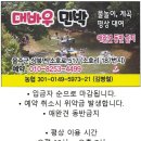 경남 울산 평상대여계곡 대바우가든 부산근교 평상대여 계곡 후기