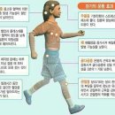 이젠피트