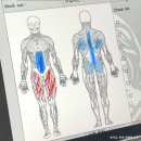 미녀와야수 | 천안 봉명동 헬스장 추천, 미녀와 야수짐 PT 1:1 후기