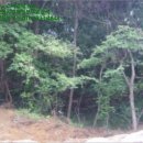 선유4리 마을회관 이미지