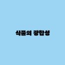 대한광합성