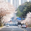 울산 동구 화정동 대송현대 아파트 이미지