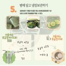 약안친 귤청 담는 풋(청)귤 주문 받습니다 잔류농약 0입니다 (시험성적서첨부) 이미지
