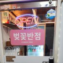 벚꽃반점 이미지
