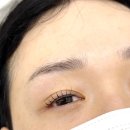 한올강북점 이미지