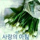 사랑의 아침 이미지