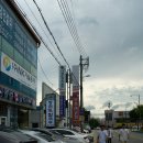 우주생고기 이미지