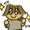반려안